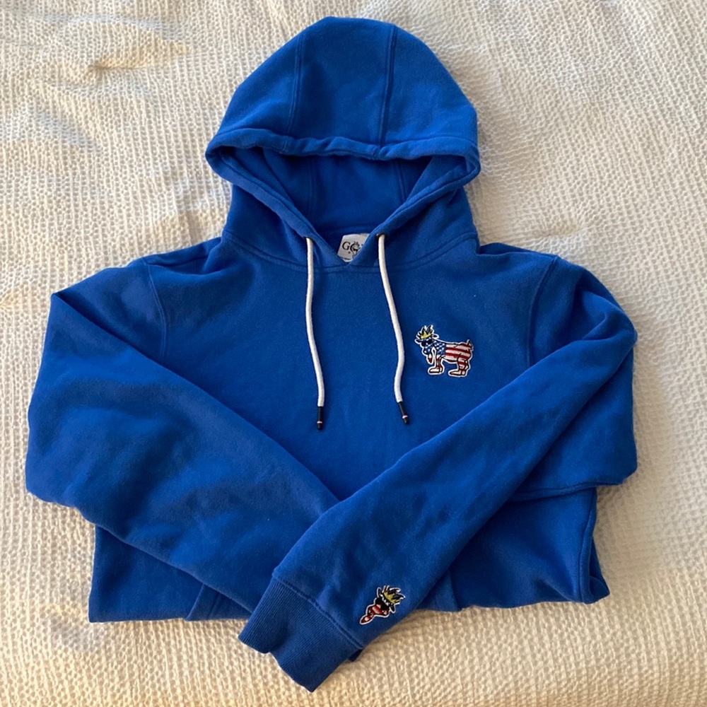 COPY - goat usa hoodie